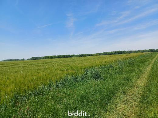 Presentatiebeeld van het pand n° 282894