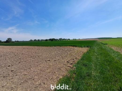 Eerste alternatieve foto van het pand