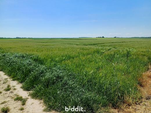 Tweede alternatieve foto van het pand
