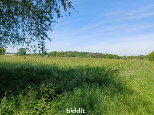 Eerste alternatieve foto van het pand