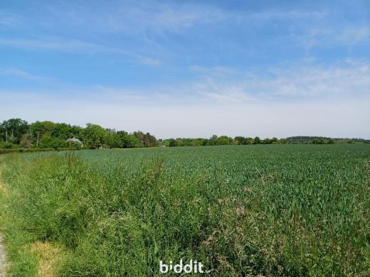 Tweede alternatieve foto van het pand