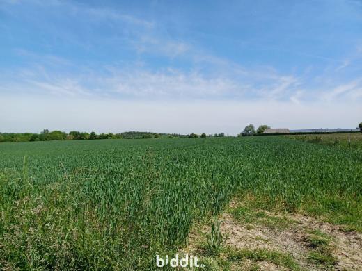 Derde alternatieve foto van het pand
