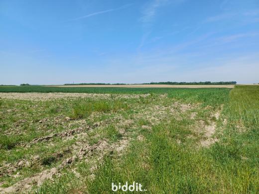 Eerste alternatieve foto van het pand