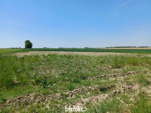 Tweede alternatieve foto van het pand