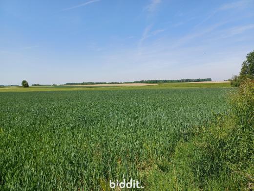 Presentatiebeeld van het pand n° 282963