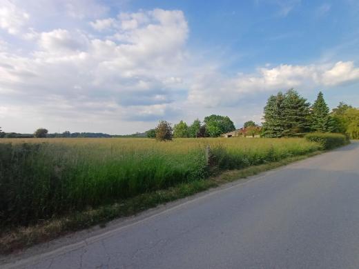 Eerste alternatieve foto van het pand