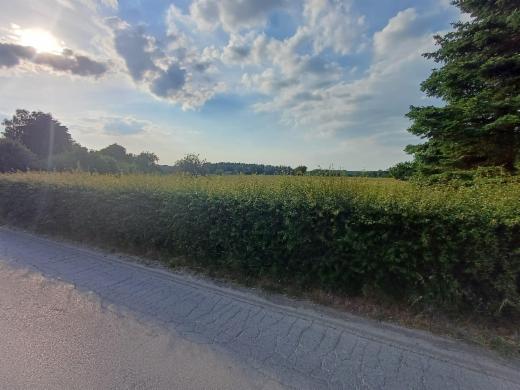 Derde alternatieve foto van het pand