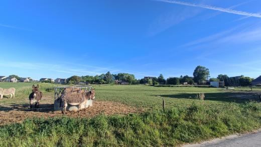 Derde alternatieve foto van het pand