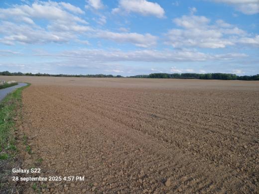 Presentatiebeeld van het pand n° 289527