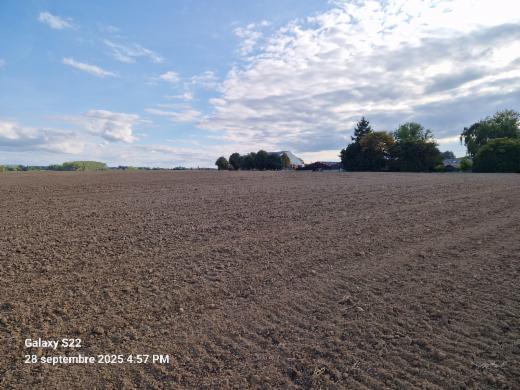 Eerste alternatieve foto van het pand