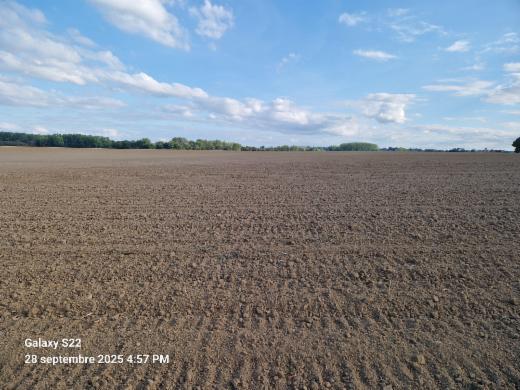 Derde alternatieve foto van het pand