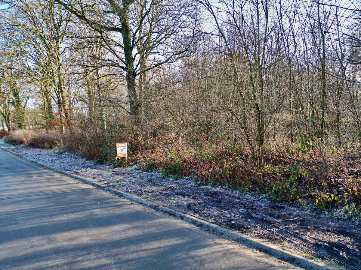 Presentatiebeeld van het pand n° 292406