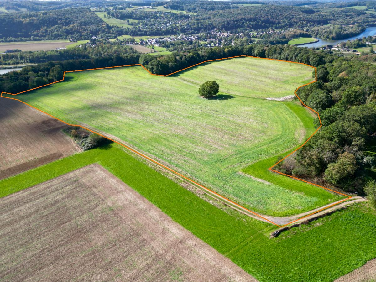 Presentatiebeeld van het pand n° 301304