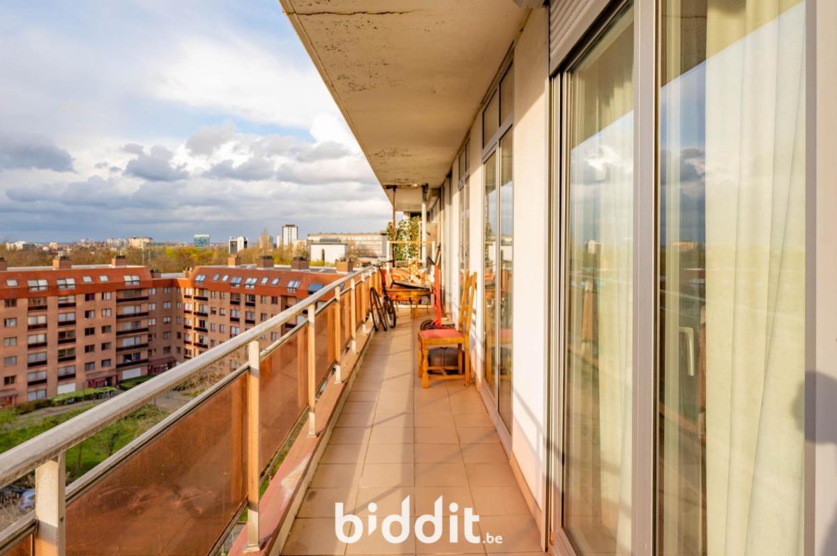 Presentatiebeeld van het pand n° 294930