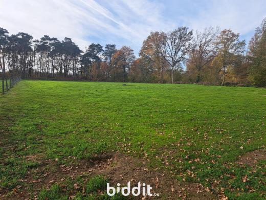 Presentatiebeeld van het pand n° 290424