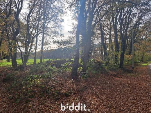 Tweede alternatieve foto van het pand