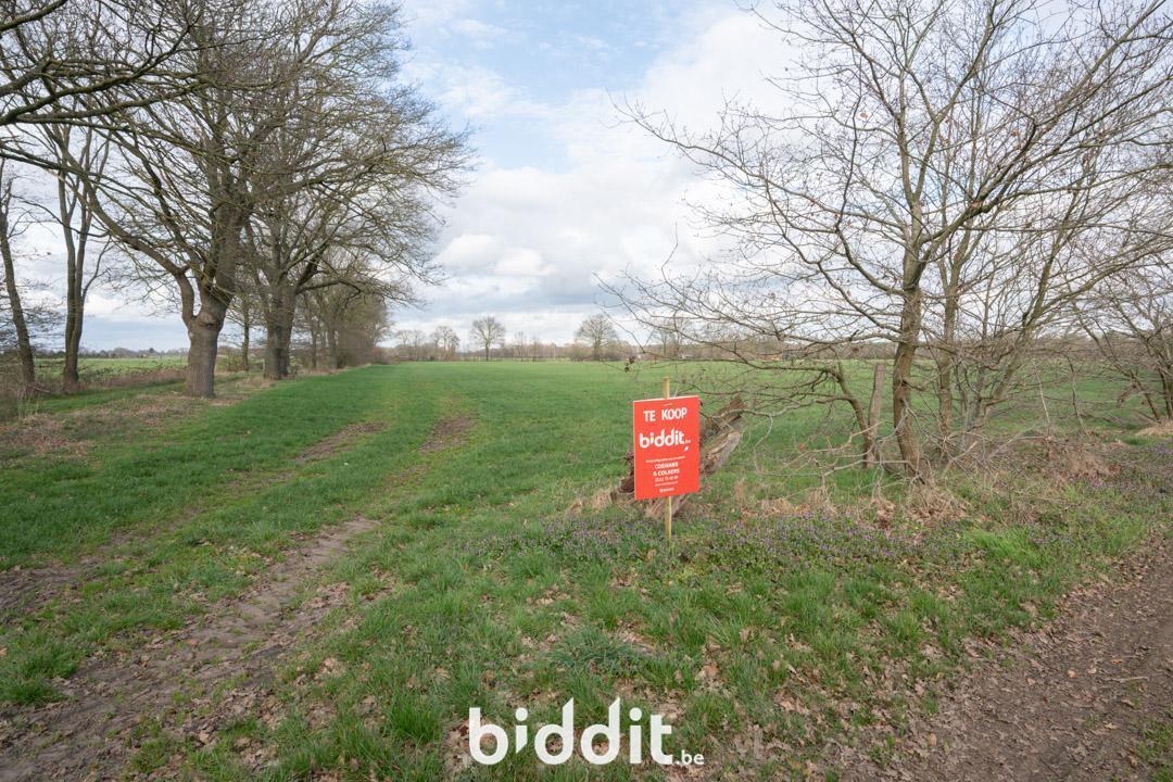 Presentatiebeeld van het pand n° 293807