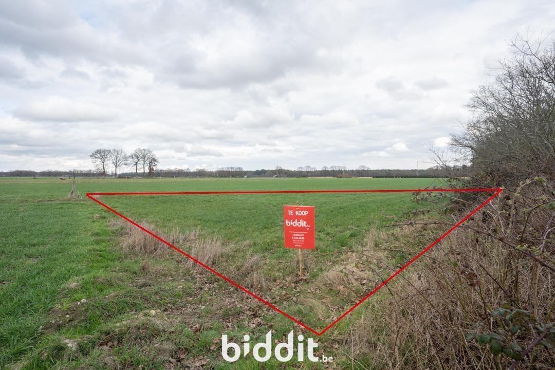 Presentatiebeeld van het pand n° 293809