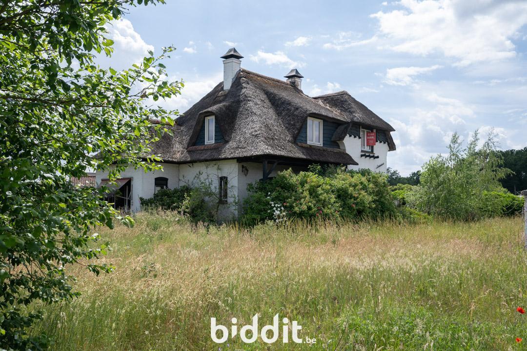 Presentatiebeeld van het pand n° 297623