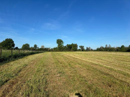 Presentatiebeeld van het pand n° 282840