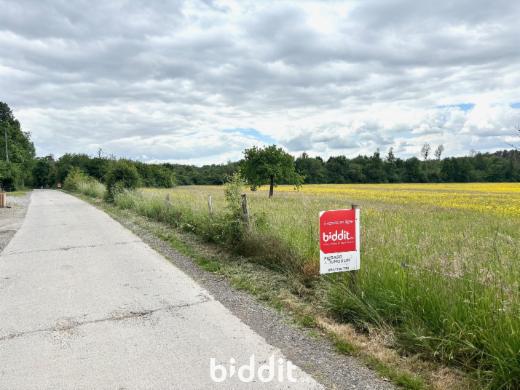 Eerste alternatieve foto van het pand