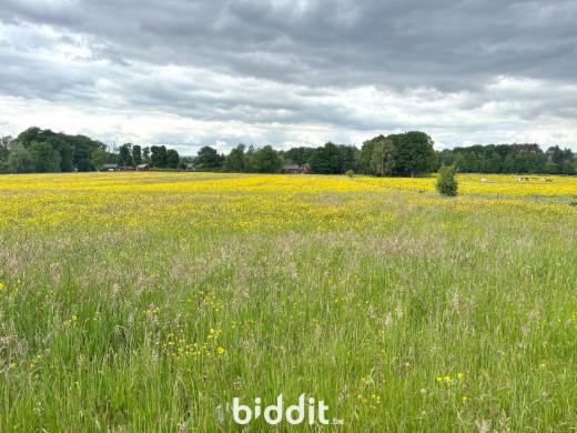 Tweede alternatieve foto van het pand