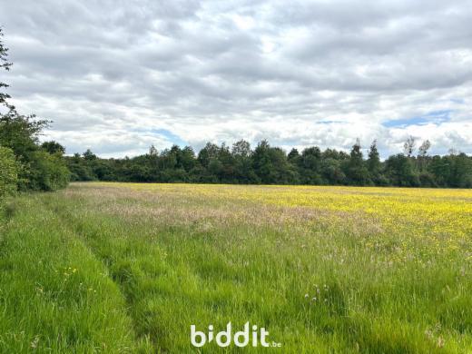 Derde alternatieve foto van het pand