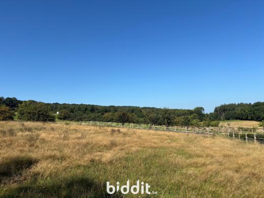 Presentatiebeeld van het pand n° 285881