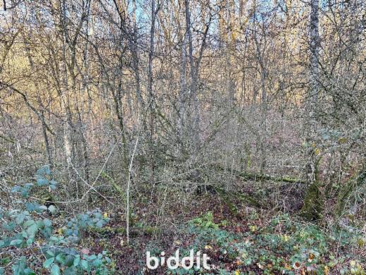 Derde alternatieve foto van het pand