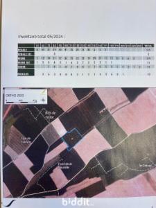 Eerste alternatieve foto van het pand