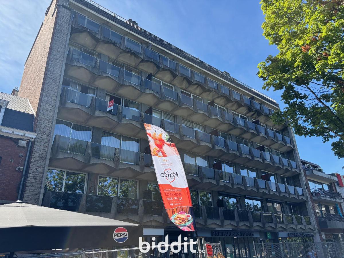 Presentatiebeeld van het pand n° 299480