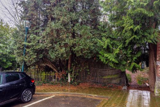 Derde alternatieve foto van het pand