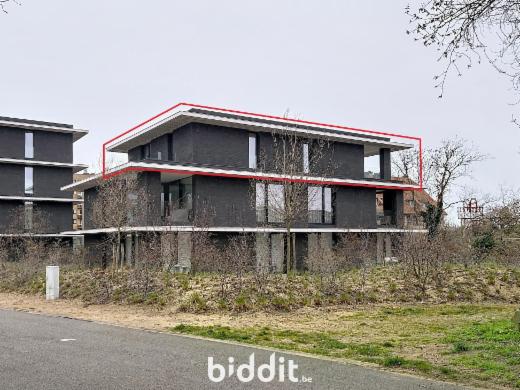 Presentatiebeeld van het pand n° 296448