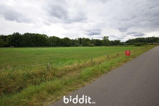 Eerste alternatieve foto van het pand