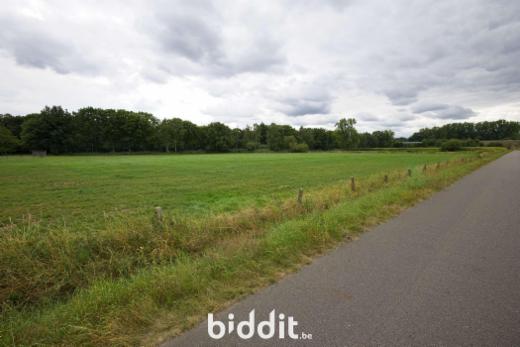 Tweede alternatieve foto van het pand