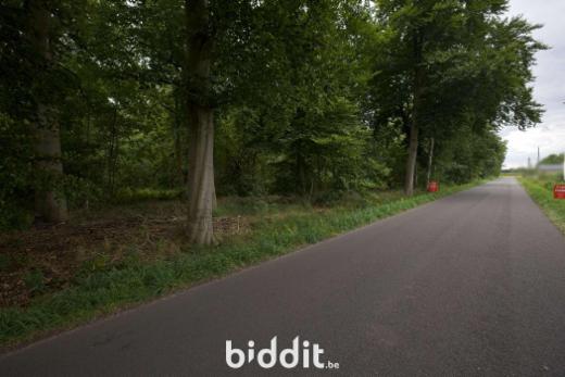 Eerste alternatieve foto van het pand