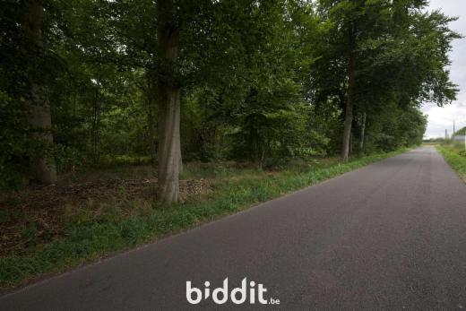 Tweede alternatieve foto van het pand
