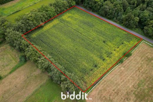 Presentatiebeeld van het pand n° 286372