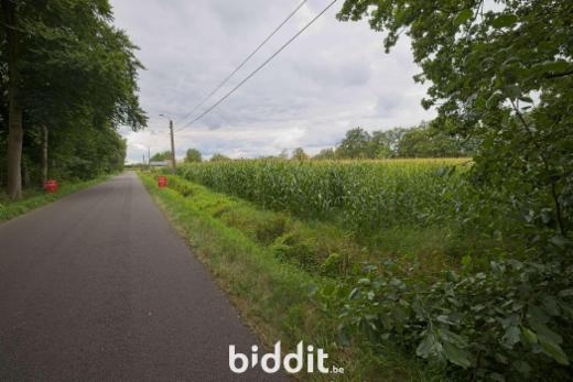Eerste alternatieve foto van het pand