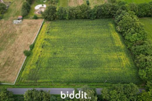Derde alternatieve foto van het pand