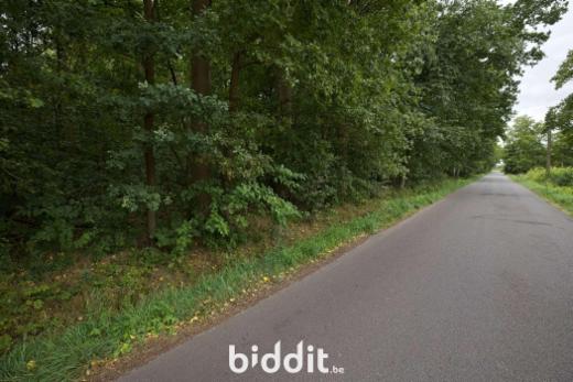 Tweede alternatieve foto van het pand