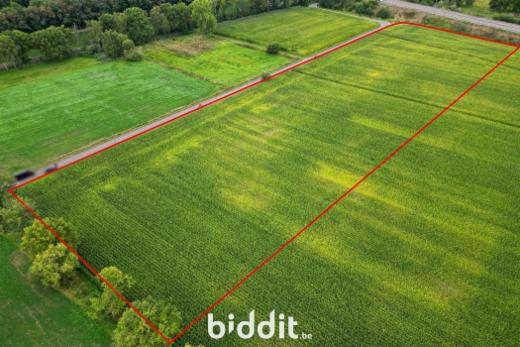 Presentatiebeeld van het pand n° 286374