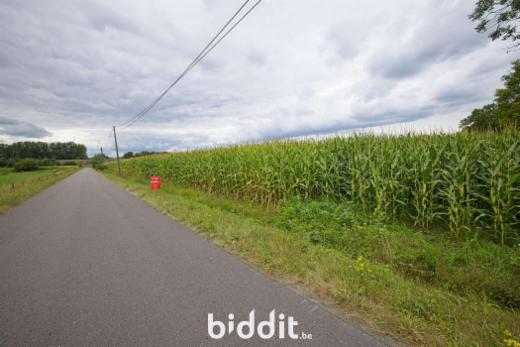 Eerste alternatieve foto van het pand
