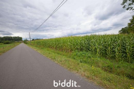 Tweede alternatieve foto van het pand