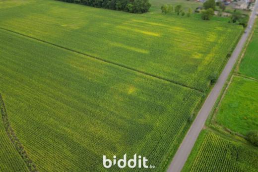 Derde alternatieve foto van het pand