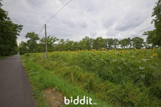 Tweede alternatieve foto van het pand