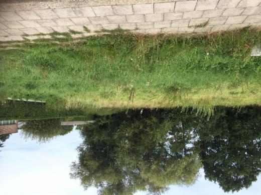 Presentatiebeeld van het pand n° 288157