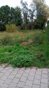 Eerste alternatieve foto van het pand