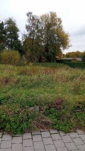 Derde alternatieve foto van het pand