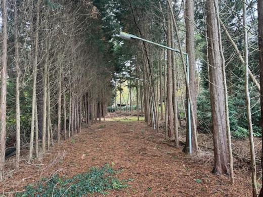 Eerste alternatieve foto van het pand